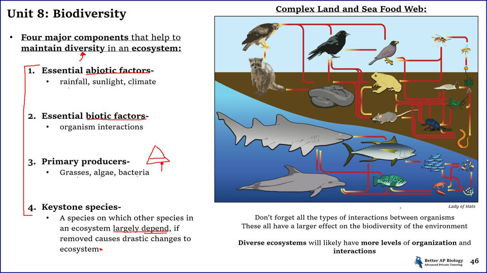 L5- Biodiversity (Free)